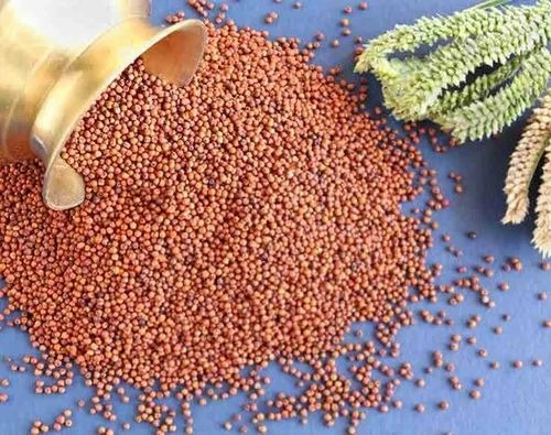 Millets & Ragi